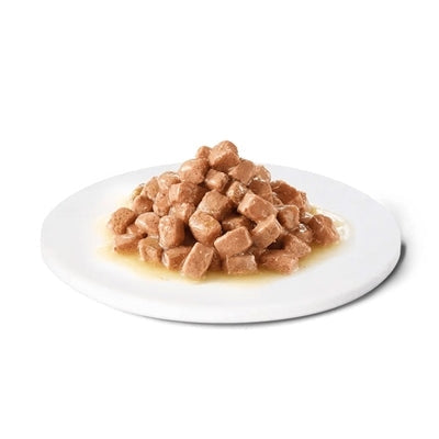 Advance Veterinary Diet Dog / Cat Recovery Herstel