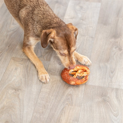 Trixie Denta Fun Pretzels Eend