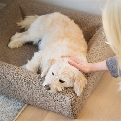 Bia Bed Premium Hoes Teddy Beige