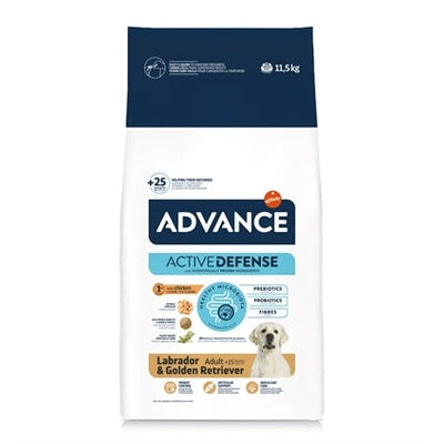 Advance Adult Labrador Retriever