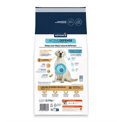 Advance Adult Labrador Retriever