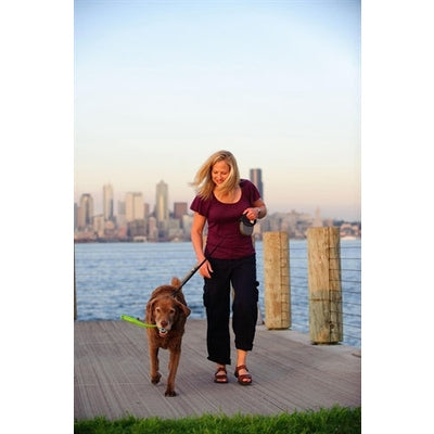 Chuckit The Whistler