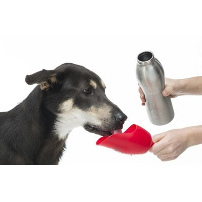 Kong H2O Drinkfles Rvs Roze