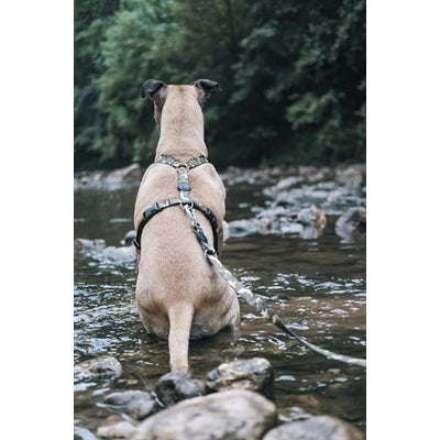 Morso Hondentuig H-Tuig Gerecycled Full Metal Dog Bruin