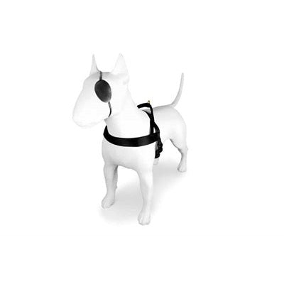 Morso Norwegian Hondentuig Gerecycled Gold Caviar Goud