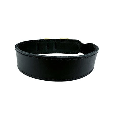 Sazzz Halsband Hond Pioneer Classic Leer Zwart