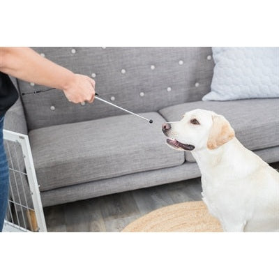 Trixie Dog Activity Target Stick Aanwijsstok Assorti