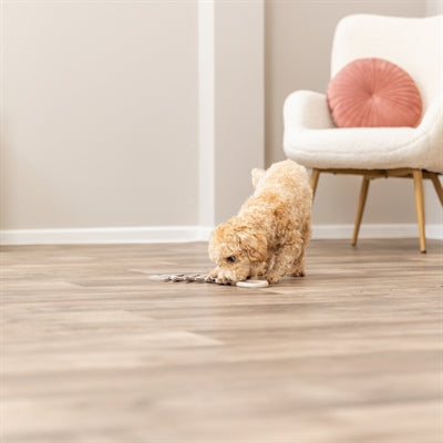 Trixie Visgraat Leer Met Touw